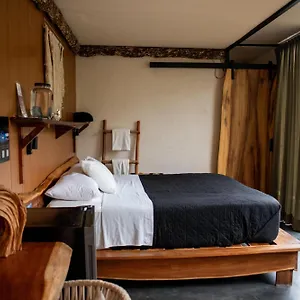 ** Hotel Bufo Alvarius Mexico