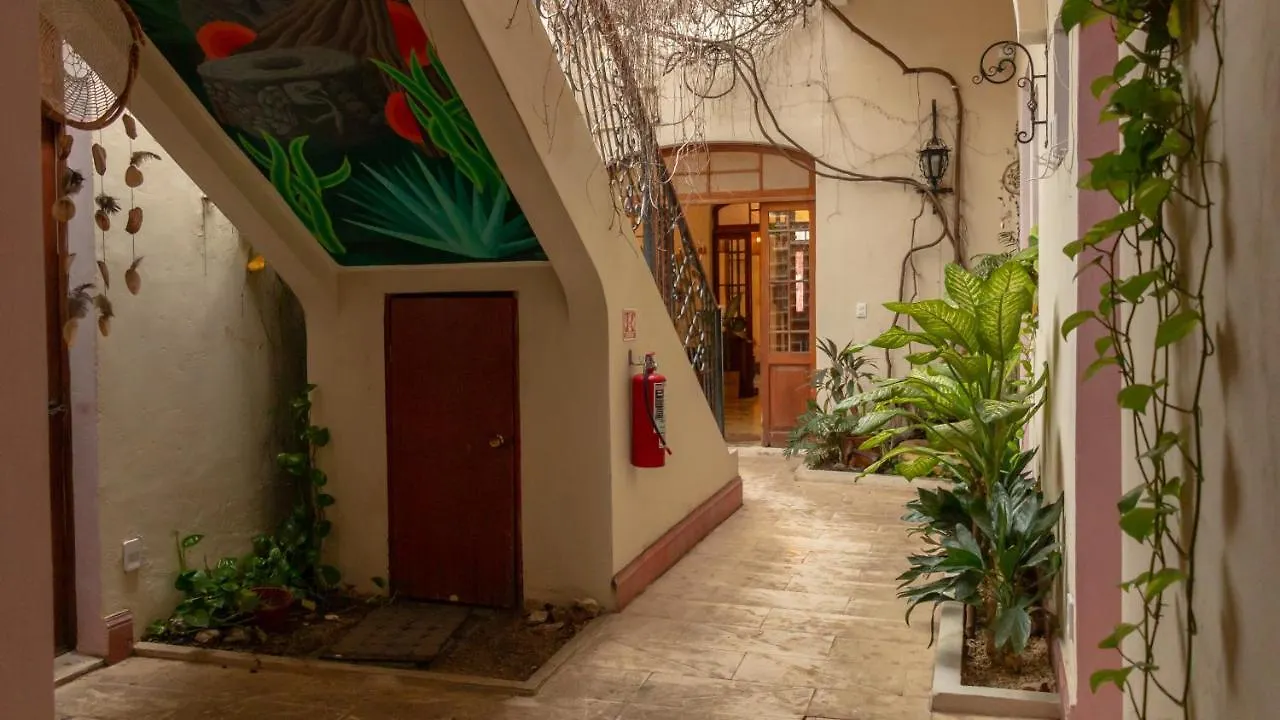 Kuka Y Naranjo Bed & Breakfast Merida