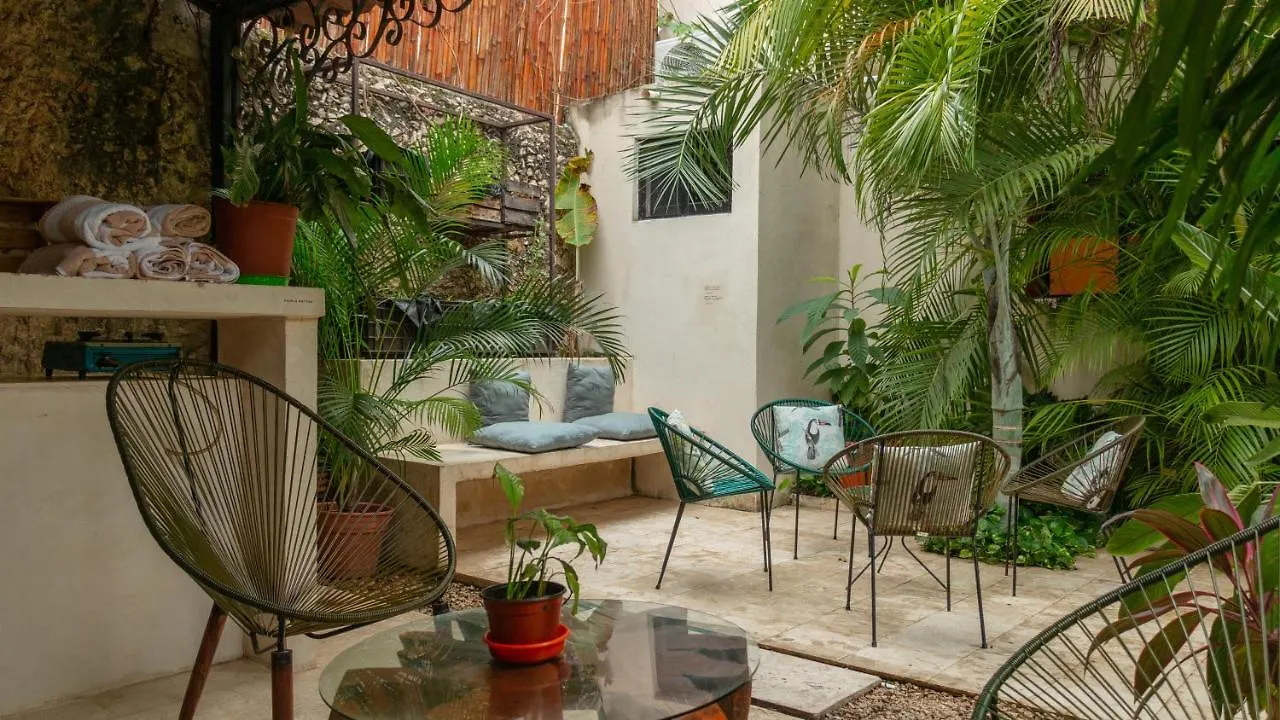 Kuka Y Naranjo Bed & Breakfast Merida Mexico