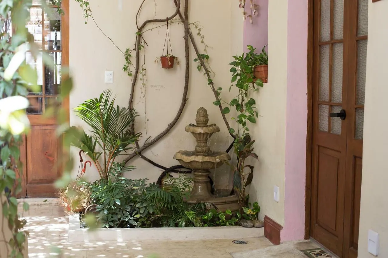 **  Kuka Y Naranjo Bed & Breakfast Merida Mexico